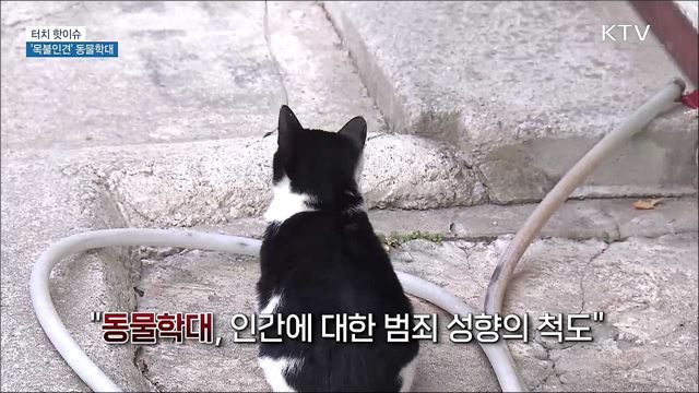 '목불인견' 동물학대 강력 처벌로 엄단해야 [터치 핫이슈]