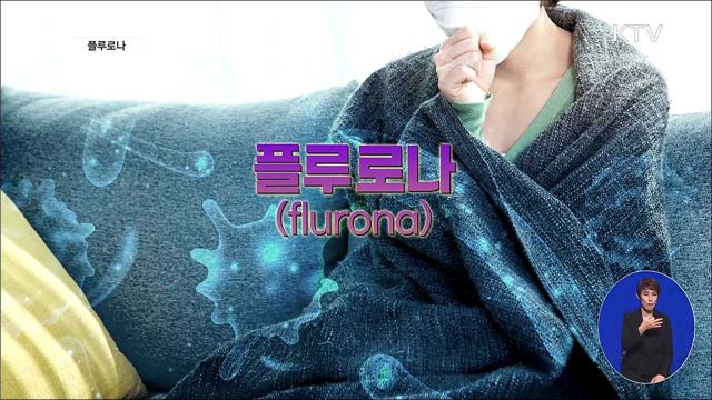 플루로나 [뉴스링크]