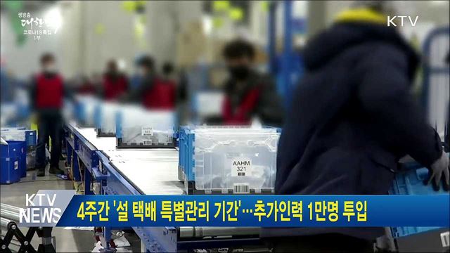 4주간 '설 택배 특별관리 기간'···추가인력 1만명 투입