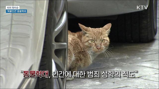'목불인견' 동물학대 강력 처벌로 엄단해야 [터치 핫이슈]