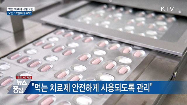 먹는 치료제 내일 도입···14일부터 투약