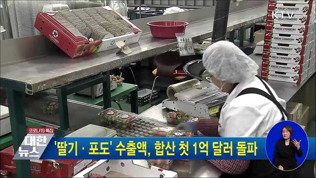 '딸기·포도' 수출액, 합산 첫 1억 달러 돌파