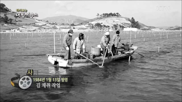 다시보는 대한늬우스 (84. 1. 13)