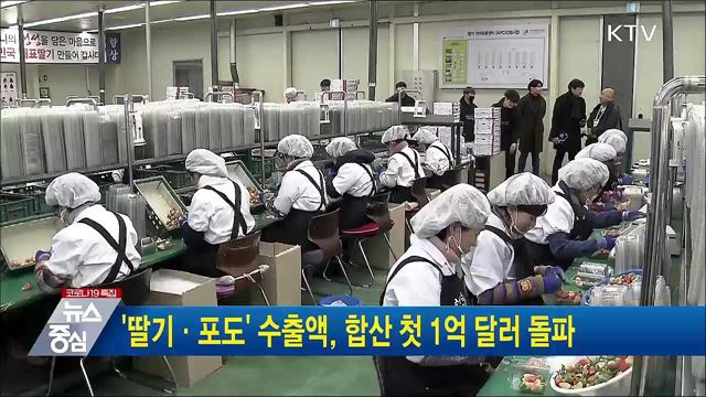 '딸기·포도' 수출액, 합산 첫 1억 달러 돌파