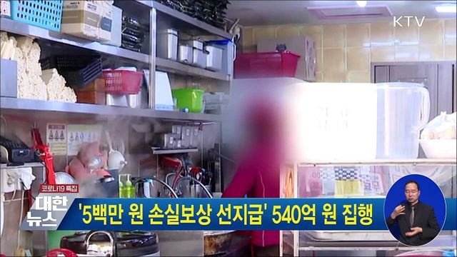 '5백만 원 손실보상 선지급' 540억 원 집행