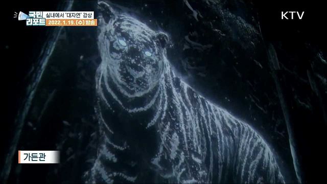 대자연이 눈앞에, 강릉 초대형 '실감형 미디어아트' 전시관