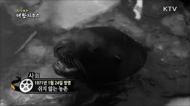 다시보는 대한늬우스 (71. 1. 24)