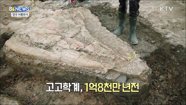 환경 아낄수록 돈 버는 탄소포인트 [S&News]