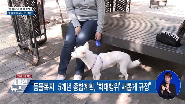 "동물학대 범죄 처벌·동물보호 제도화 최선"