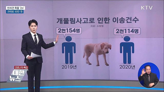 11일부터 반려견 목줄 '2m'···과태료 최대 50만 원