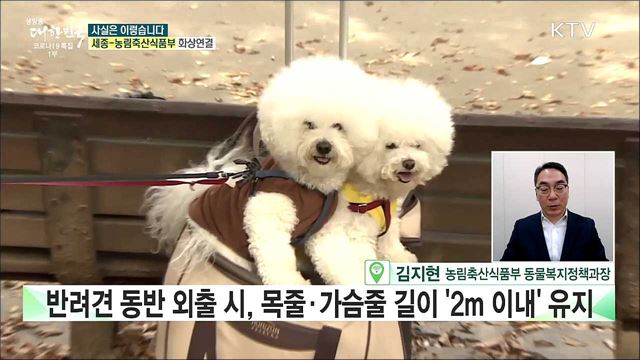 '반려견 안전관리 의무강화', 공동주택에서 무조건 안고 이동해야 한다? [사실은 이렇습니다]