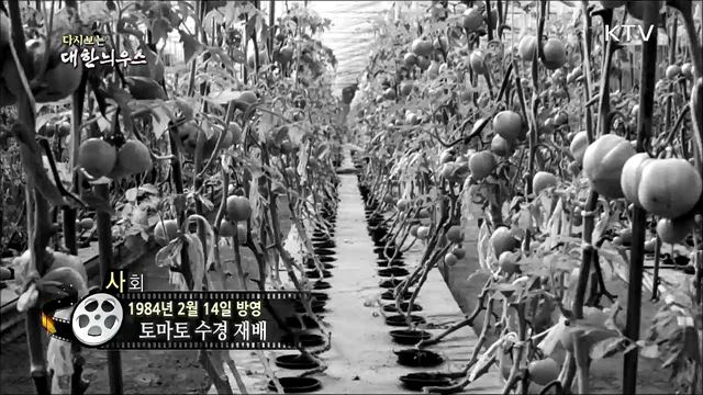 다시보는 대한늬우스 (84. 2. 14) 