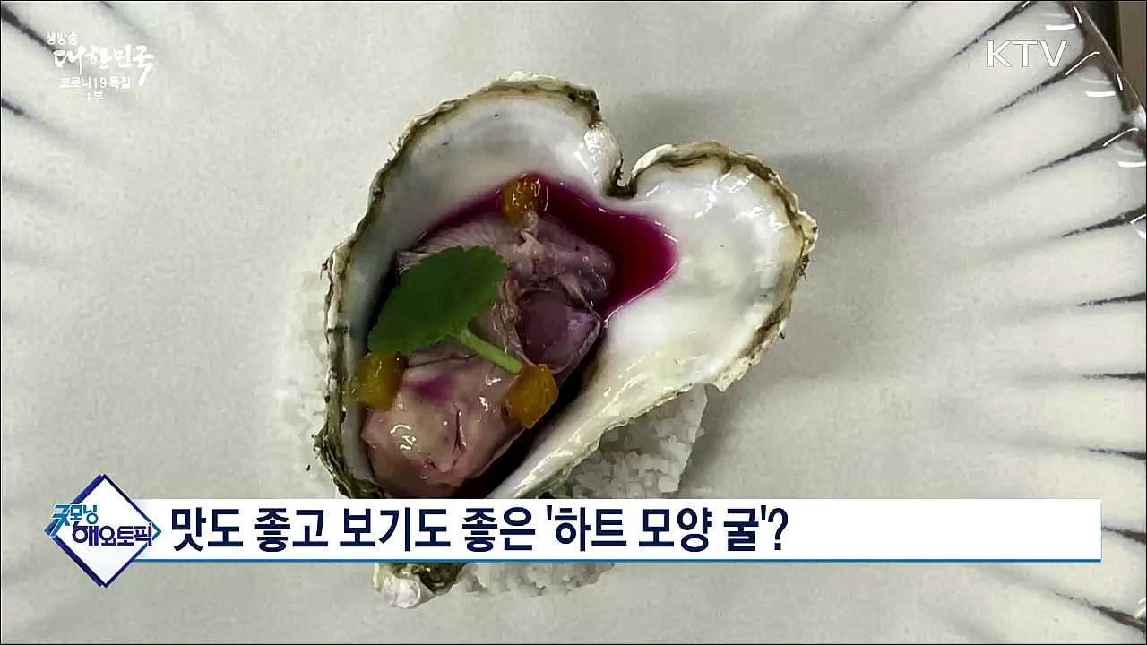 맛도 좋고 보기도 좋은 '하트 모양 굴'? [굿모닝 해외토픽]