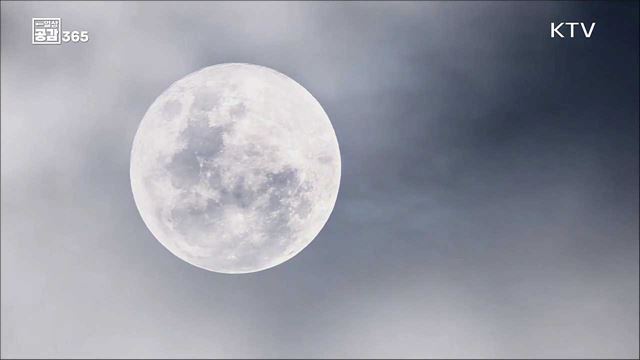 당신의 소원을 들려주세요_정월대보름 [일상공감365]