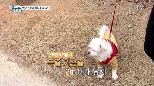 반려견 외출 시 '목줄 길이 2m 이내' 준수