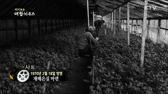 다시보는 대한늬우스 (70. 2. 18) 