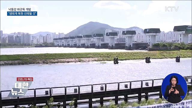 낙동강 하굿둑 개방···"생태계 복원 선례될 것"