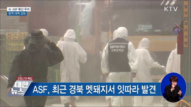 AI·ASF 확산 우려···방역 대책 강화