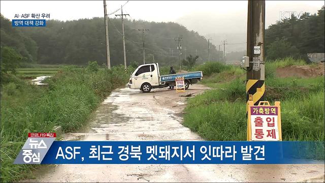 AI·ASF 확산 우려···방역 대책 강화