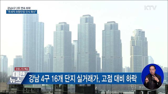 강남 4구 2주 연속 하락···"추세적 하향안정 인식 확산"