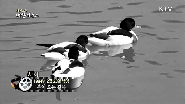 다시보는 대한늬우스 (84. 2. 23)