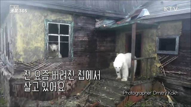 우리와 지구의 미래를 위한 투자_탄소포인트제 [일상공감365]