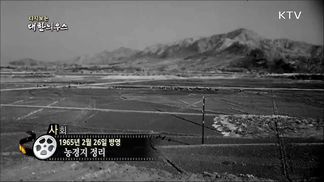 다시보는 대한늬우스 (65. 2. 26)