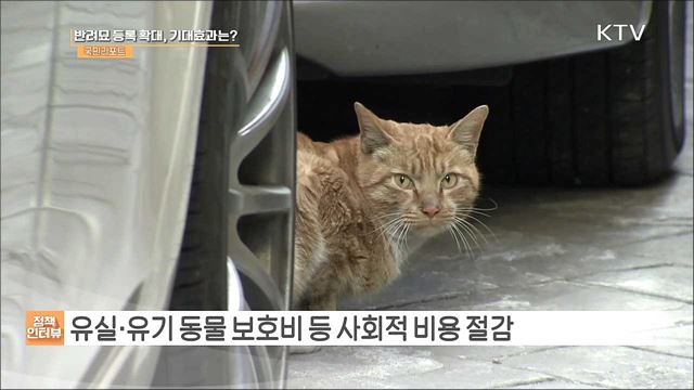 '반려묘 등록 시범사업' 전국 확대 시행 [정책인터뷰]