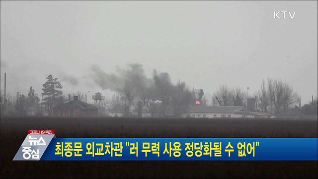 최종문 외교차관 "러 무력 사용 정당화될 수 없어"