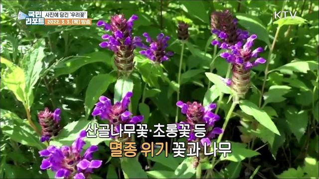 '꽃 향에 취해' 식물탐사대가 사진에 담은 우리 꽃