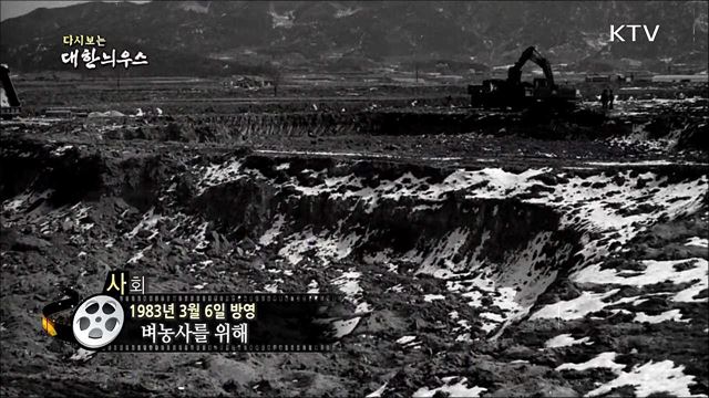 다시보는 대한늬우스 (83. 3. 6)