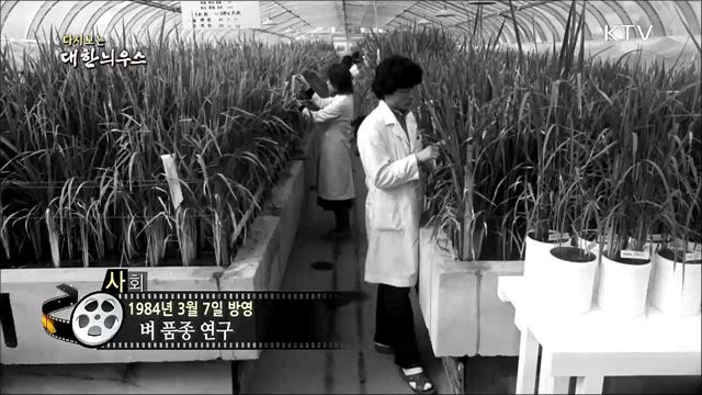 다시보는 대한늬우스 (84. 3. 7) 