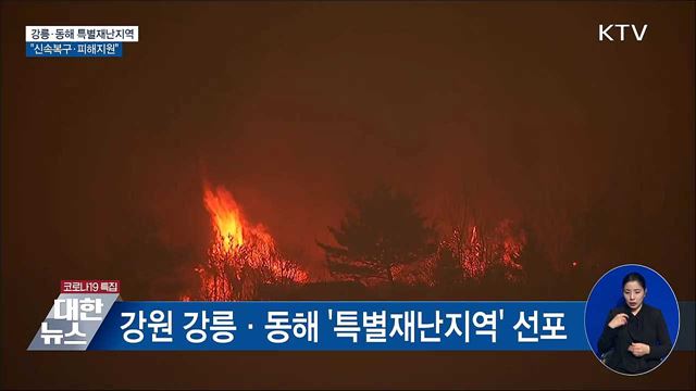 강릉·동해 특별재난지역···"신속복구·피해지원"