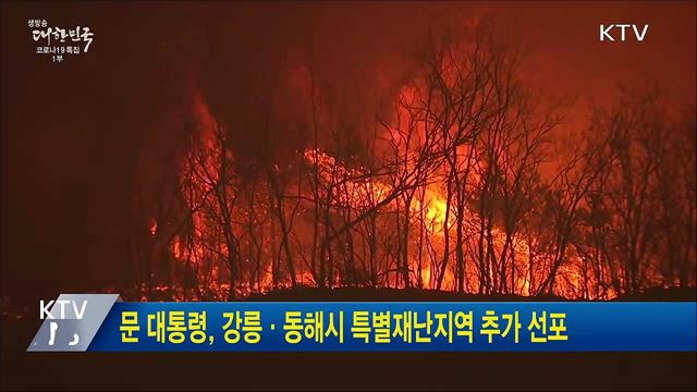 문 대통령, 강릉·동해시 특별재난지역 추가 선포