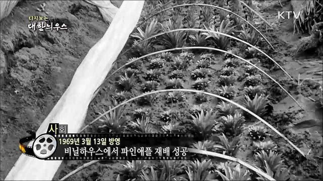 다시보는 대한늬우스 (69. 3. 13) 
