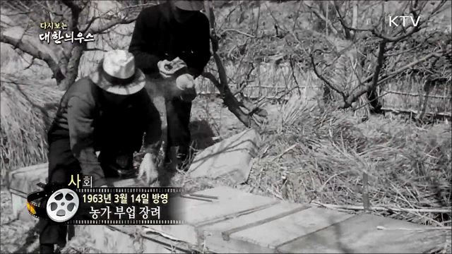 다시보는 대한늬우스 (63. 3. 14)