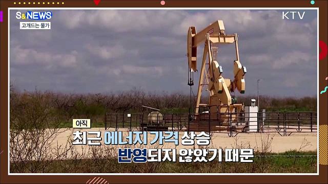 터키 48.7%↑ 코로나 다음은 물가? [S&News]