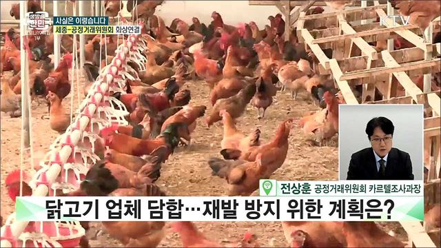 치솟는 치킨 가격, 생닭 가격이 올랐기 때문이다? [사실은 이렇습니다]