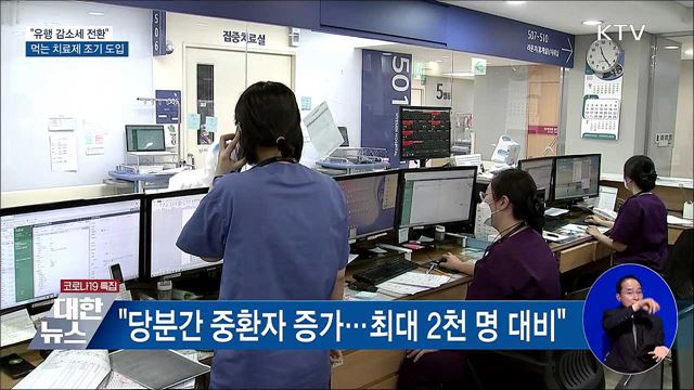 "유행 감소세 전환"···먹는 치료제 46만 명분 도입