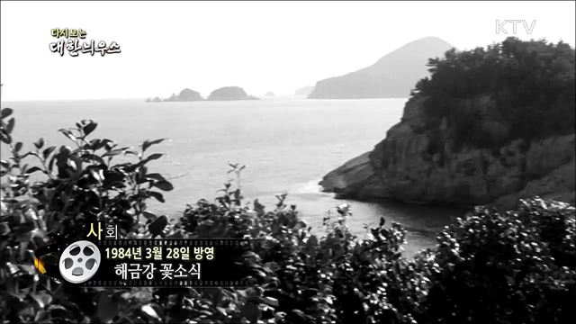 다시보는 대한늬우스 (84. 3. 28)