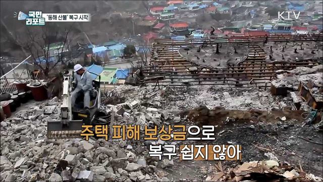 '동해 산불' 피해, 마을 복구 작업 시작