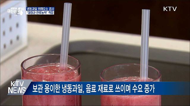 냉동과일, 대장균·잔류농약 적합···식품유형 확인해야