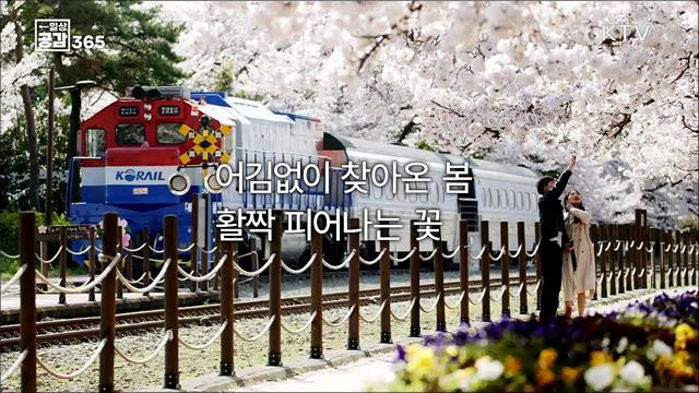 봄꽃 향기 가득한 3월...♥ [일상공감365]