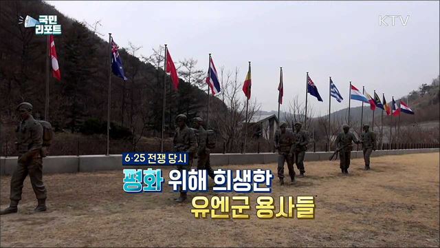 자유·평화 지킨 희생 '유엔군 참전국 전적지'에 가다