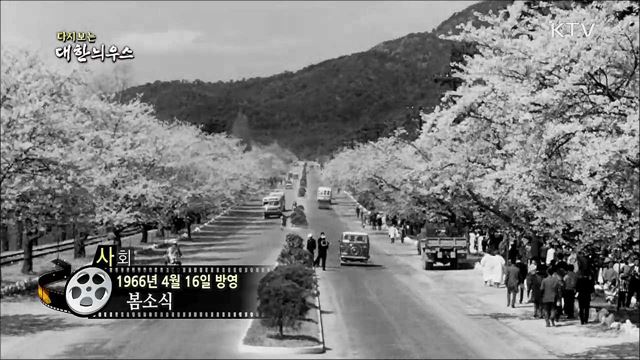 다시보는 대한늬우스 (66. 4. 16)