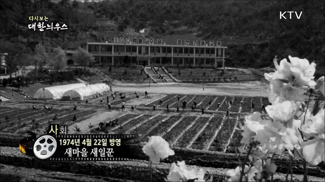 다시보는 대한늬우스 (74. 4. 22)