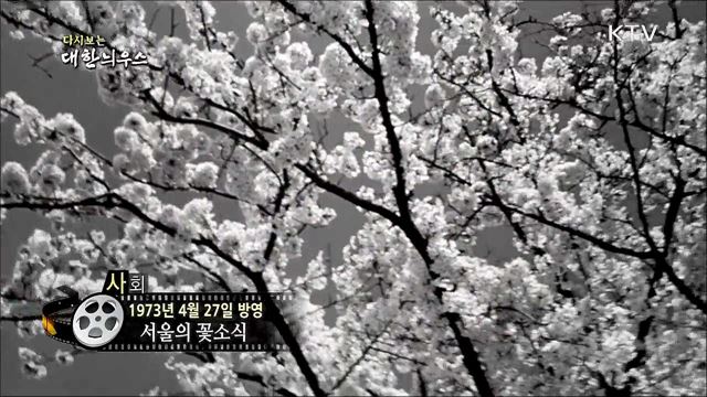 다시보는 대한늬우스 (73. 4. 27)