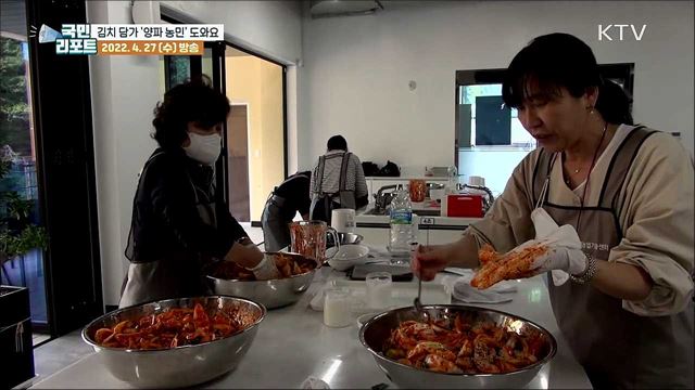 "양파 농민 도와요" 양파김치 만들기 체험