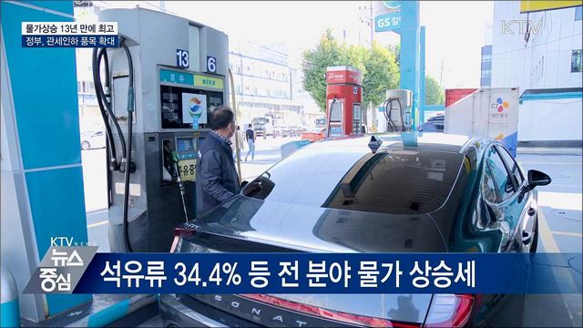 물가 4.8% 상승···"납사·페이크롬 등 관세인하 검토"