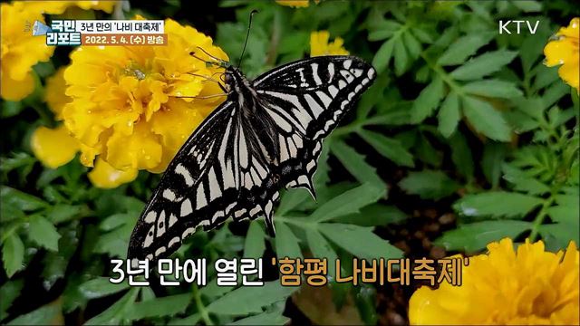 '함평 나비대축제' 3년 만에 힘찬 날갯짓